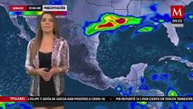 El clima para hoy 26 de noviembre, Marilú Kaufman