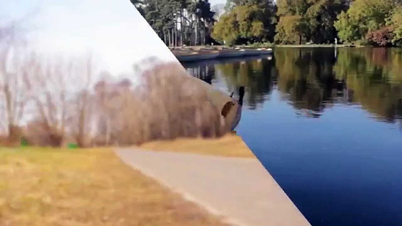 A louer - Appartement - LEVALLOIS-PERRET (92300) - 1 pièce - 25m²