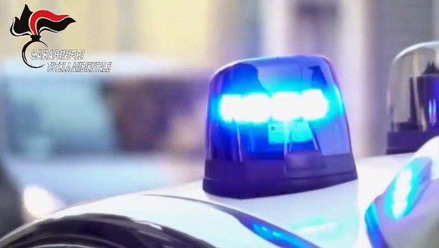 Traffico illecito di rifiuti nel Nord Italia arrestata 48enne (26.11.20)