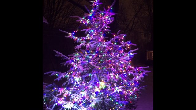 Décorations de Noël