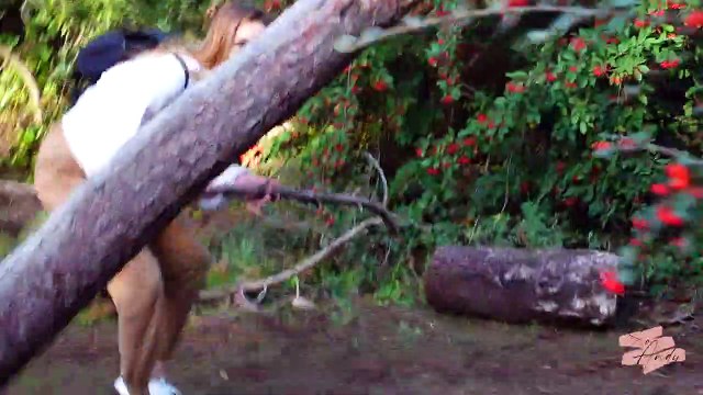 DIY Feuilles de palmier et Mobile Dreamcatcher _ let's go !