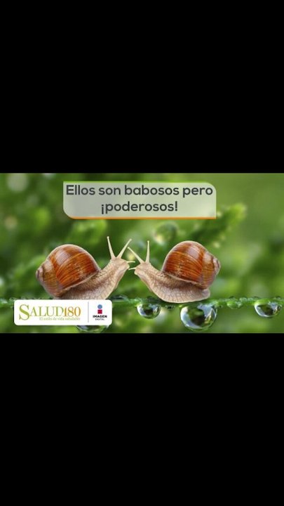 Ellos son babosos pero ¡poderosos! | Cortos por Salud180