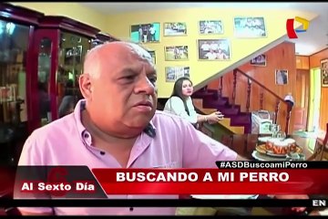 Lección de amor: la lucha constante de buscar a una mascota extraviada