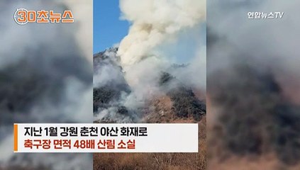 [30초뉴스] '휙∼' 꽁초에 축구장 48배 잿더미…산불 낸 벌목꾼 집유 2년