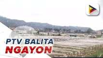 #PTVBalitaNgayon | Tulong-pinansiyal kadigiti mannalon ti Benguet a naapektaran ti naglabas a bagyo, maipaay