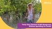 Meet The Man From Leyte Who Planted 10,000 Mangroves Without Spending For Seeds
