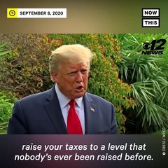 Donald Trump Said the Stock Market Would Tank If Biden Won _ NowThis