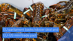 EU parliament backs lobster deal and EU-US mini trade pact, and other top stories in business from November 27, 2020.