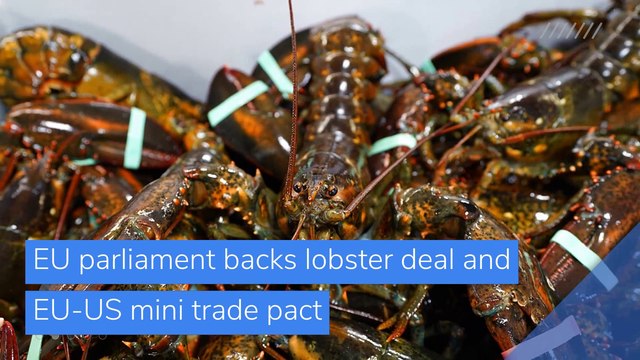 EU parliament backs lobster deal and EU-US mini trade pact, and other top stories in business from November 27, 2020.