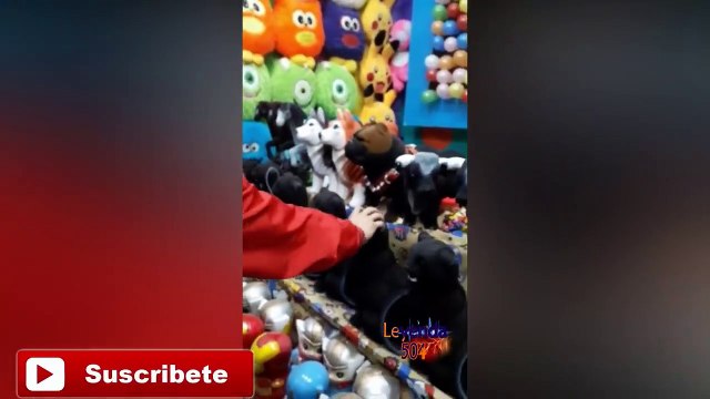 SI TE RIES PIERDES / VIDEOS GRACIOSOS 2020