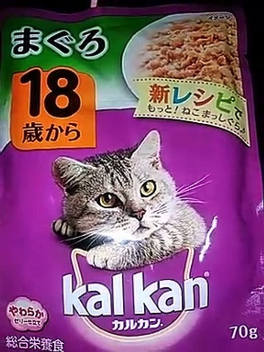 すいませんカルカン18以上