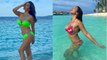 Sophie Choudry Bikni Look VIRAL | Sophie Choudry का Maldives से Bikni Look हुआ Viral | Boldsky