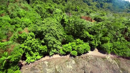 Great Blue Wild S01E14 - Costa Rica