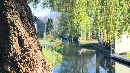 Wer wagt, gewinnt: Roggen-Whisky aus dem Spreewald