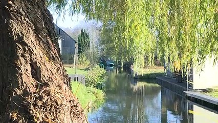 Wer wagt, gewinnt: Roggen-Whisky aus dem Spreewald