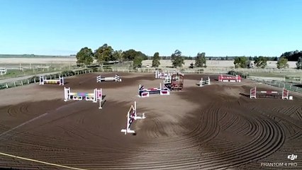 Haras La Esmeralda | Caballos