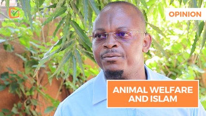 Opinion : Animal welfare and Islam