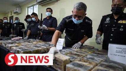 Kedah cops nab seven, seize drugs worth more than RM18mil in jungle raids