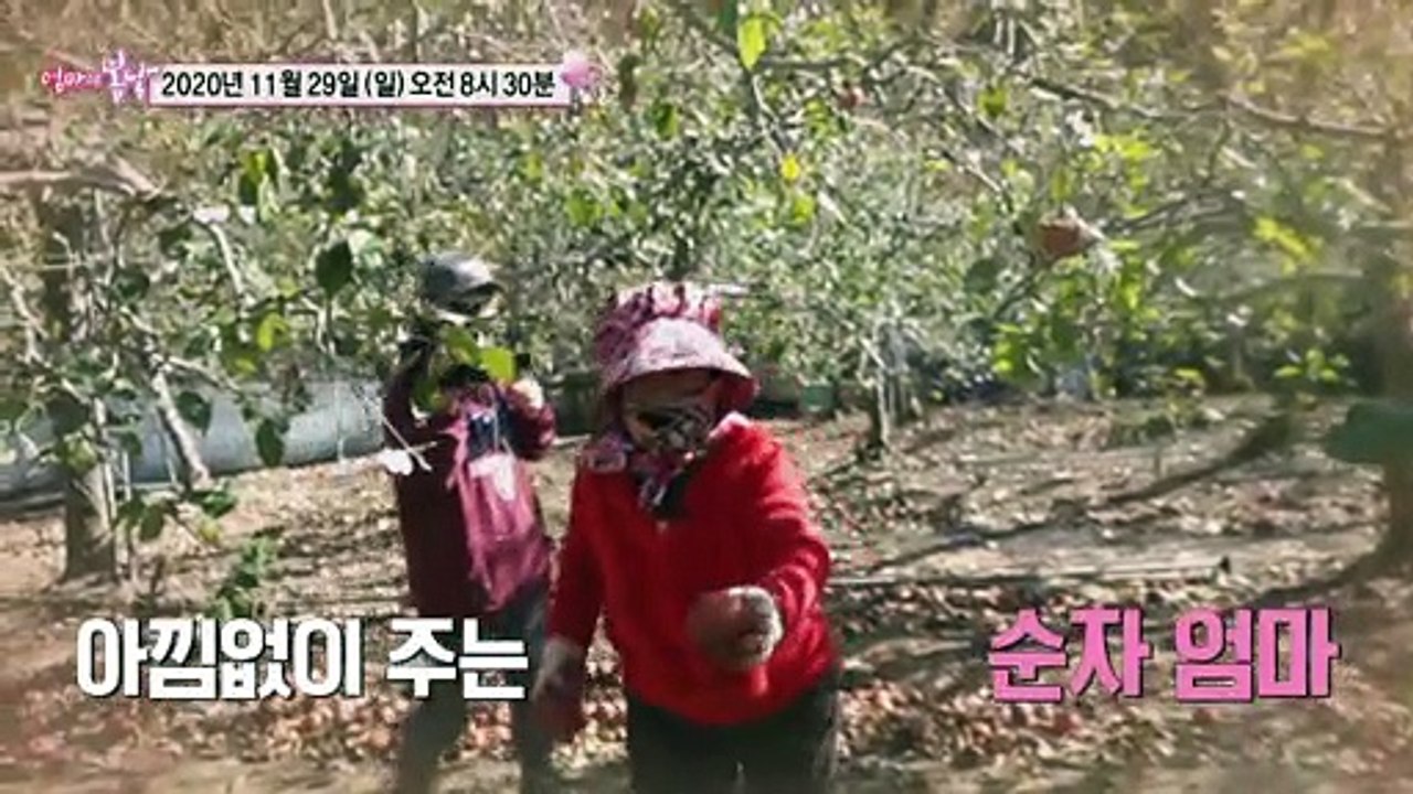 빨간 샤쓰를 입은 여인_엄마의 봄날 272회 예고