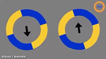 Si vous voyez la taille et la position de ces cercles bouger, alors clignez vite des yeux et vous verrez que vous aviez tort