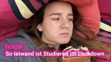 Hossa! So leiwand ist Studieren im Lockdown