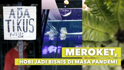 Dari Hobi Jadi Ladang Cuan, Deretan Usaha yang Sukses Selama Pandemi