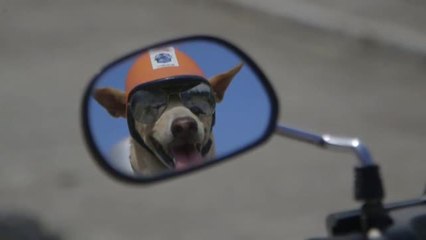 Una pareja de moteros muy peculiar que recorre Filipinas causando sensación