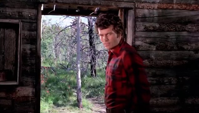 Los osos y yo (Español latino)