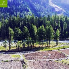 Beauty of Kumrat Valley