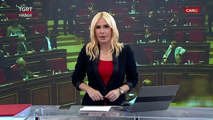 Ermeni Vekiller Birbirine Girdi