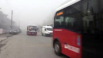 DÜZCE - Yoğun sis etkili oluyor