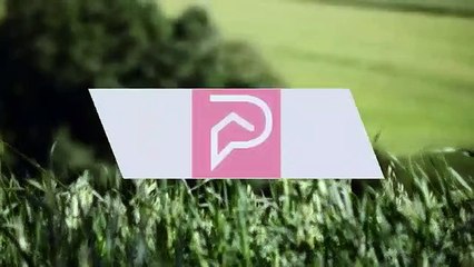 A louer - Appartement - LE HAVRE (76600) - 2 pièces - 44m²