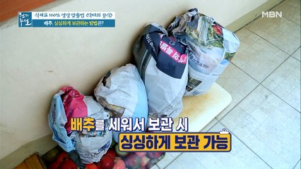 배추 싱싱하게 보관하는 방법 대공개!!