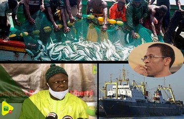 Le secteur de la pêche artisanale en détresse, alerte l'Etat avec une marche prévue 04 Décembre