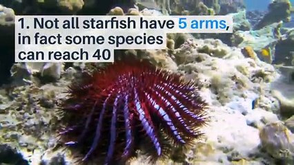 8 surprising facts about Starfish