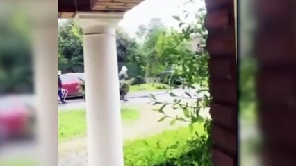 "Me saludó Maradona :  el último video de Diego Maradona con vida