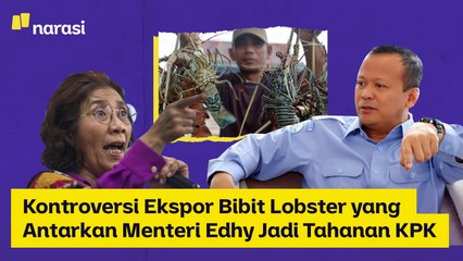 Kontroversi Ekspor Bibit Lobster yang Antarkan Menteri Edhy Jadi Tahanan KPK | Narasi Newsroom