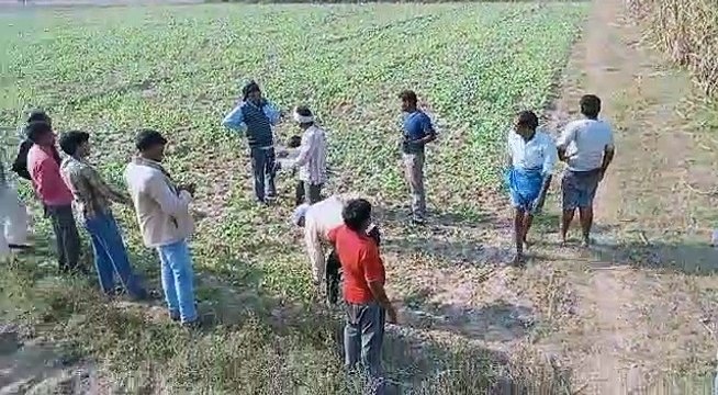 भीषण आग लगने से किसानों का 50 बीघा गन्ना जलकर हुआ राख