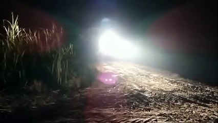 मिट्टी का हो रहा अवैध खनन, माफिया बेखौफ