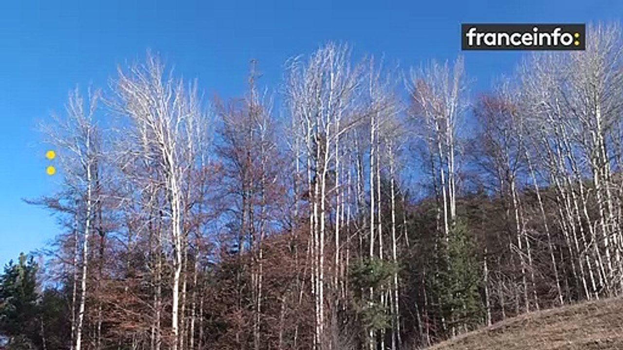 Privée de ski, cette station des Alpes adapte son activité pour accueillir les touristes