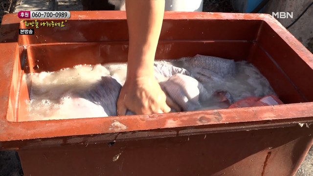 [소나무 470회] 한 팔로 어렵게 손빨래 하는 상규 씨