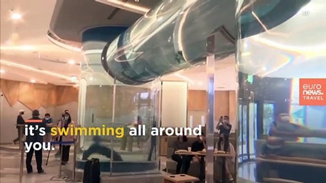 The hotel inspired by Twenty Thousand Leagues Under the Sea