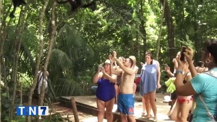 tn7-parques-nacionales-esperan-alta-visitacion-este-fin-de-semana-271120