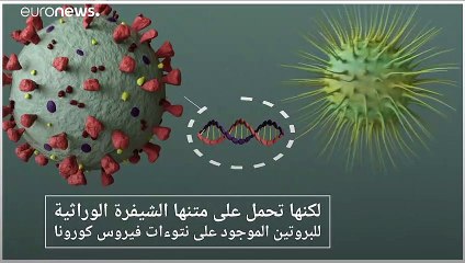 Скачать видео: أسترازينيكا وأوكسفورد تستخدمان حيلة 