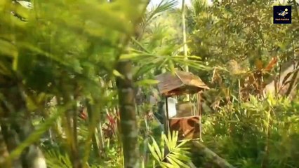 মাথা নষ্ট করা কয়েকটি সুইমিংপুল_আপনি অবাক হবেন। Most Dangerous Swimming Pool in the world