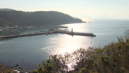 가덕도가 띄운 국민의힘 주류 대결...TK-PK 갈등 격화 / YTN