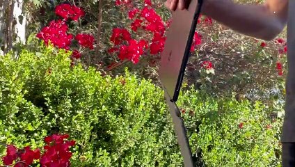 Reseña Surface Pro X: esto es el futuro de las PC