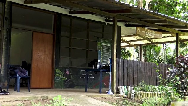 Comunidades indígenas en la Amazonia colombiana se preparan para el regreso de los turistas