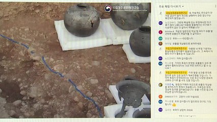 코로나 시대, 오히려 못 보던 구경하네 / YTN