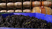 China to impose 'anti-dumping' tariffs on Australian wine